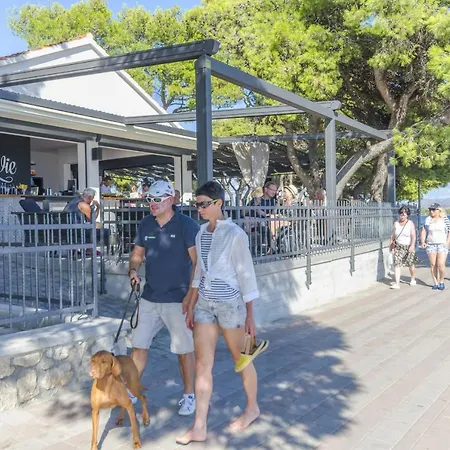 Seper Vodice